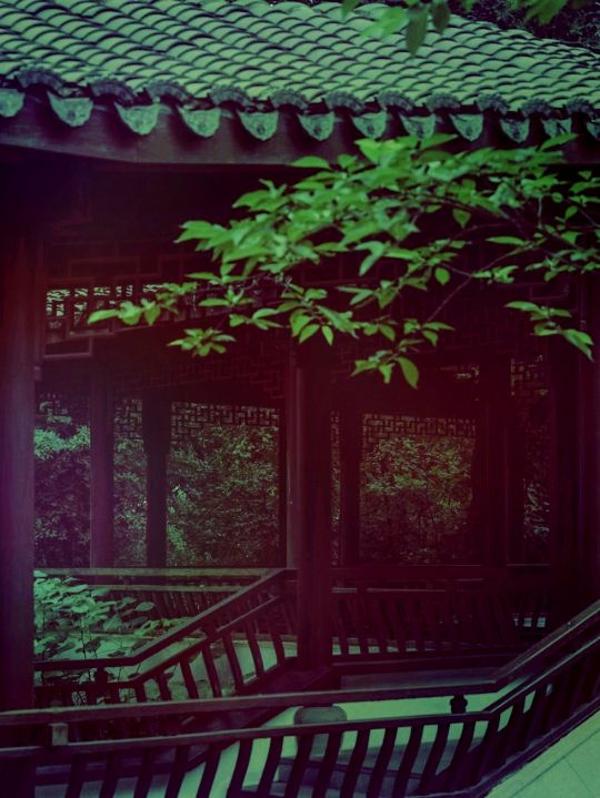 【尋幽探祕：五雲山真跡寺的禪意與金黃詩篇】