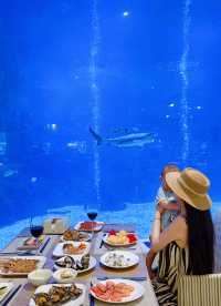 邊個會明嚟三亞玩超長泳道槳板嘅快樂