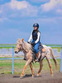 關於野騎新手，等我講啲大實話…