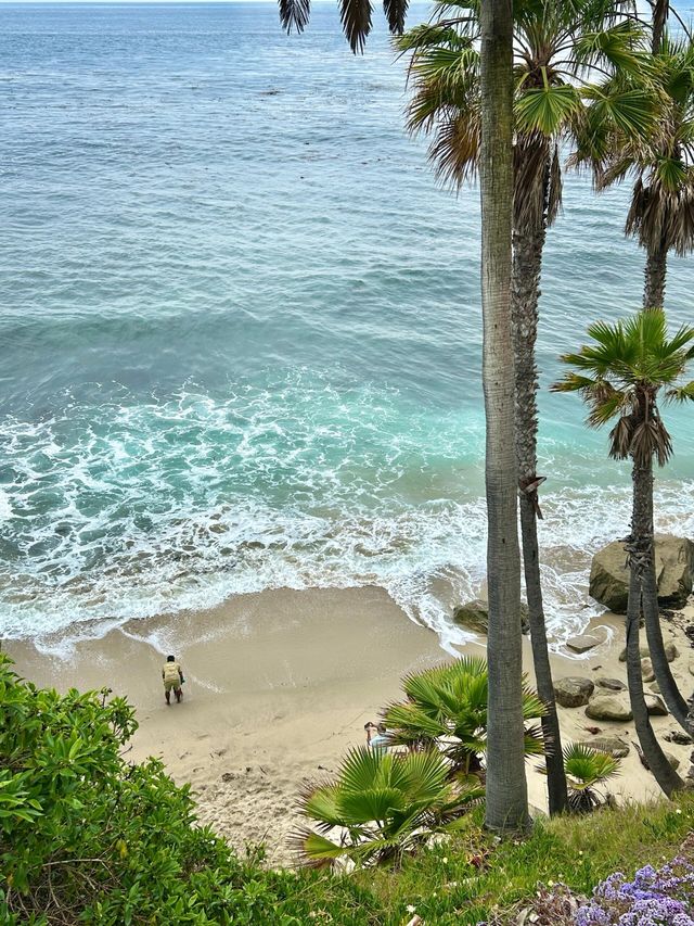 Laguna Beach 絕美打卡攻略！隨手拍都係大片視覺感
