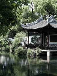 喺AI櫻花雨入面食小籠包！無錫新玩法全解鎖