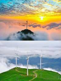 人均399住進現實版莫奈花園—雲海崖