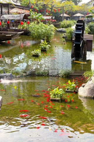 Places to spend a whole day in Shunde