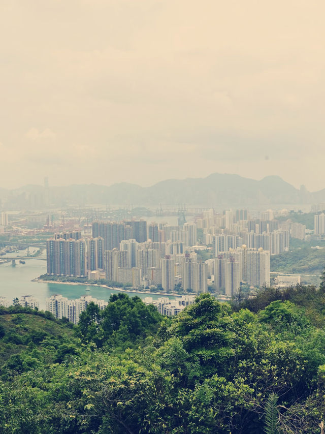 香港飛鵞山　絶景と冒険の魅力を満喫！​