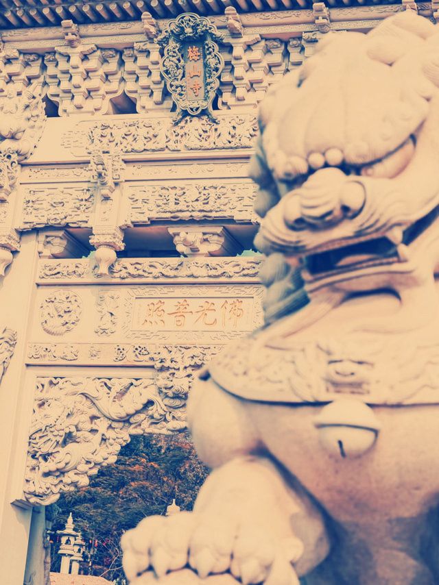タイトル：廈門の隠れ家的名所「梅山寺」を満喫！静寂と美しさが詰まった絶景スポットガイド