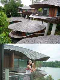 Banyan Tree in Singapore Rainforest Resort😍♥️