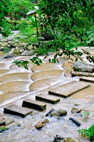 I can't believe such a fairyland exists in Guangdong—it's breathtaking!