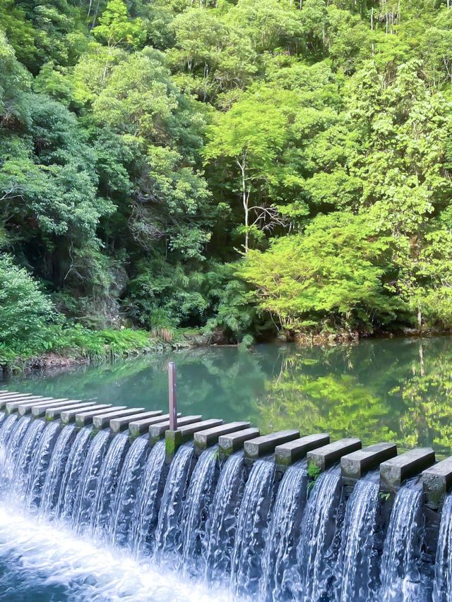 閩東群山間的「雲上小城」，均溫僅22℃！