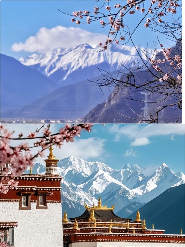 《別處是人海，林芝是桃源》