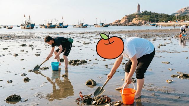 養馬島，唔係想像中咁樣……