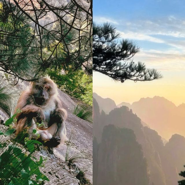 500蚊玩出5000蚊質感，朋友圈被問爆嘅隱藏玩法！