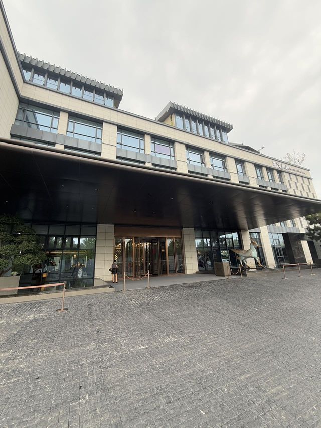 在洛陽住到了適合遛娃的酒店