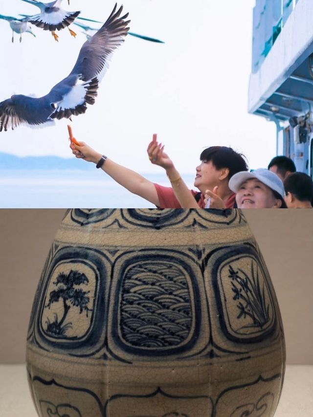 海陽已回，說點難聽的大實話