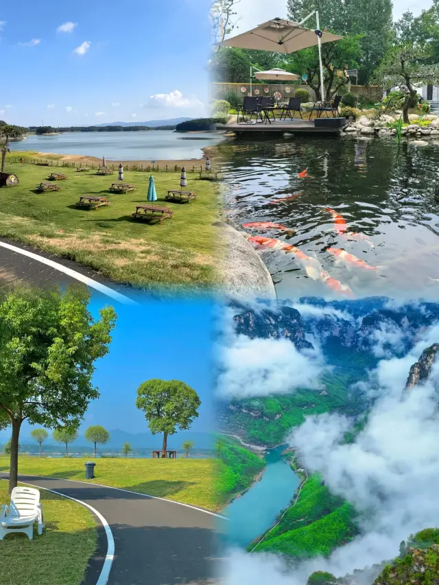 信陽玩了三次，我的消費觀崩了。