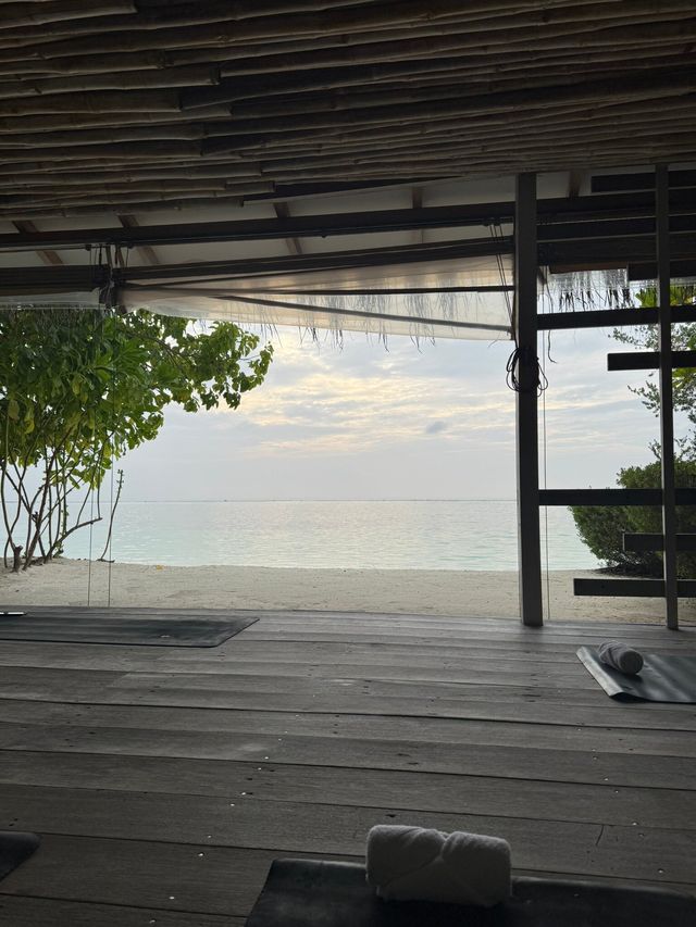 Magical Week at Lux: A Honeymoon to Remember