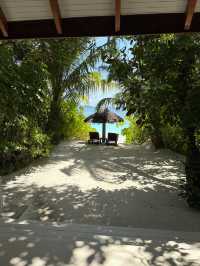 Paradise Found at Baros