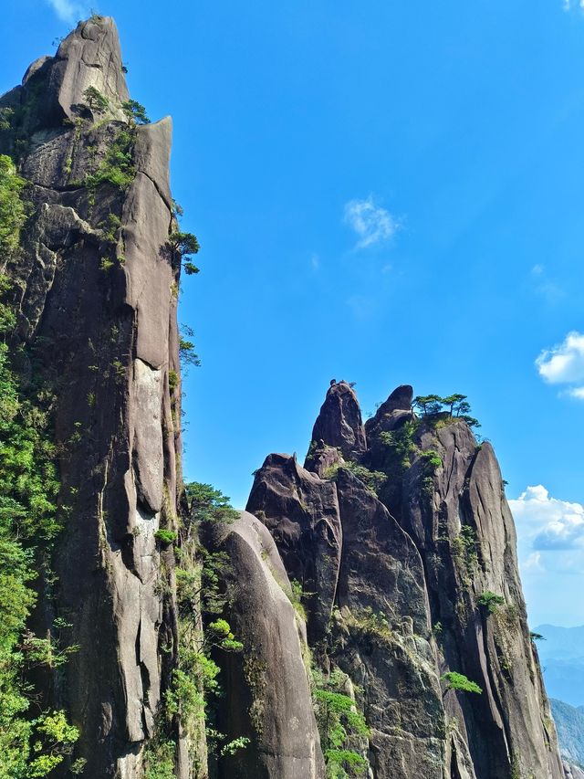 江西上饒三清山雲海撫過巨蟒的脊背