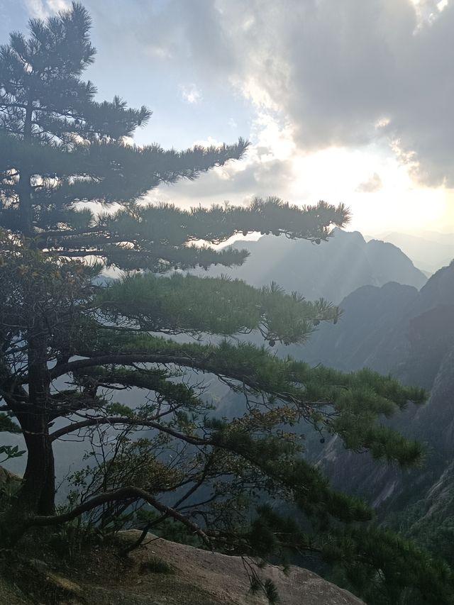 自然奇觀等你探尋---黃山