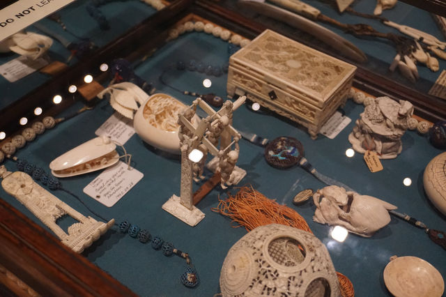 Pitt Rivers Museum: A Unique Oxford Attraction