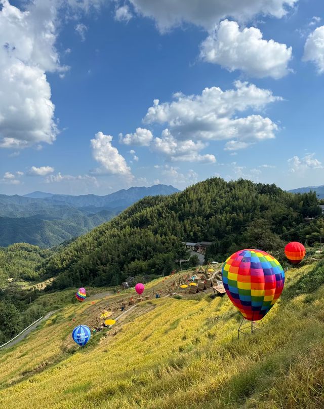 長沙人速看！岳麓山這條隱藏小路，秋天的「寶藏」滿地撿，去晚了