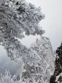 黃山冬日仙境！保姆級雪景攻略+冷門機位大公開 杭州出發2h直達！黃山雪景封神了家人們！ 