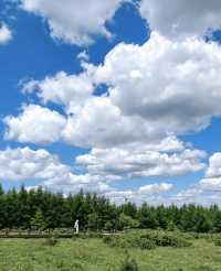【崇禮版小瑞士】翠雲山全攻略收好這份避暑&滑雪神仙指南！