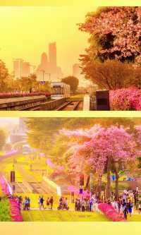 用全螢幕方式打開這列廣州異木棉花海黃昏列車