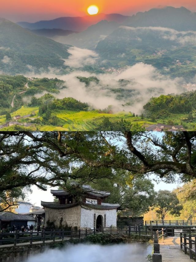 被《國家地理》稱為人間仙境的麗水到底有多美
