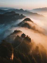 盤錦紅海灘輕戶外計劃！小火車騎行+濕地觀鳥的休閒日
