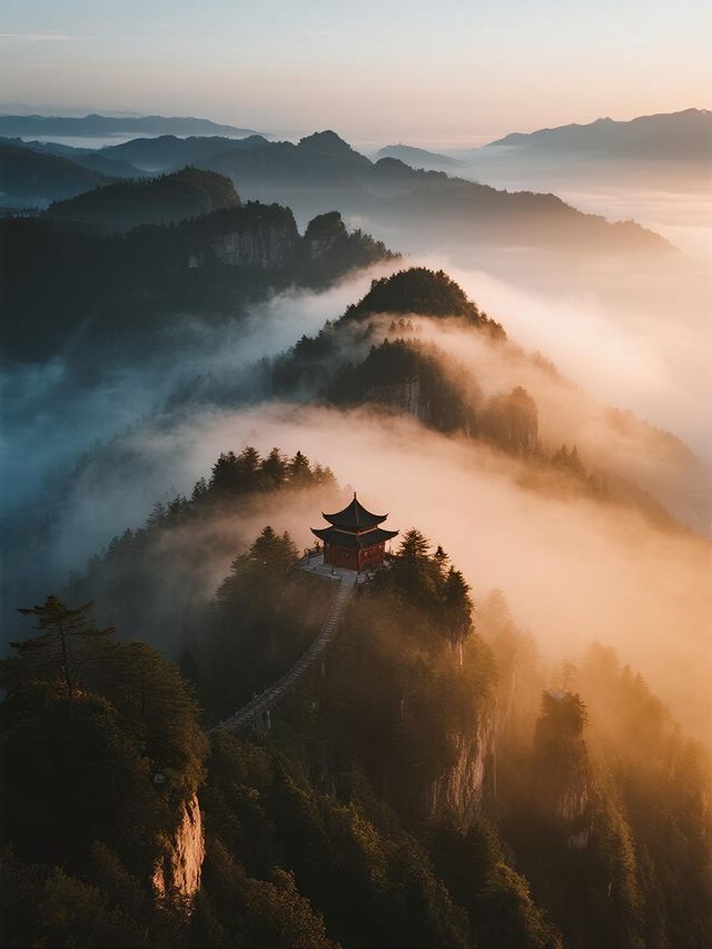 盤錦紅海灘輕戶外計劃！小火車騎行+濕地觀鳥的休閒日