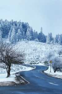 重慶下雪了！衝！仙女山2日遊保姆級攻略！