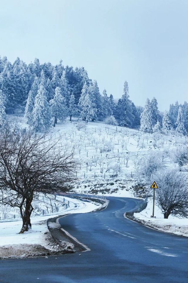 重慶下雪了！衝！仙女山2日遊保姆級攻略！