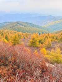 蘇木山旅遊攻略