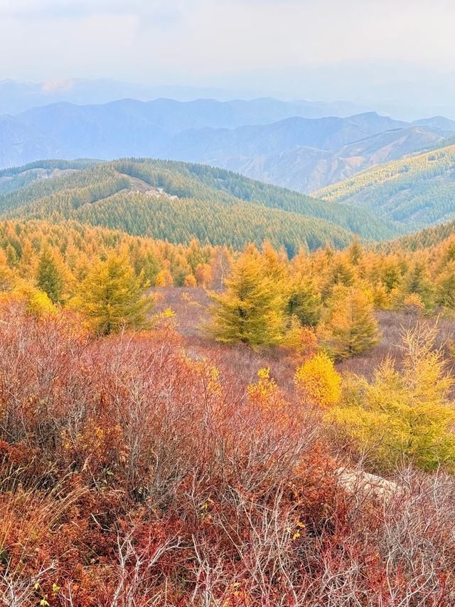 蘇木山旅遊攻略