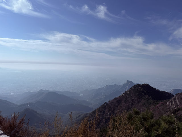 泰山