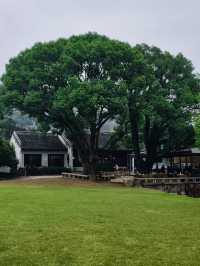 10.26live圖看點不一樣的梅園