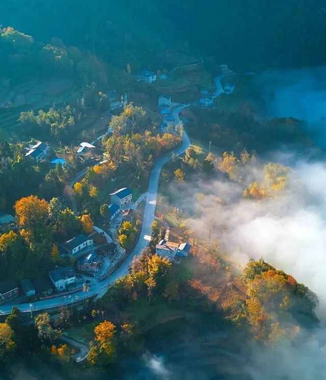 綿陽平武紅葉瘋了!7個神仙地附精準觀賞時間 綿陽平武紅葉瘋了!7個神仙地附精準觀賞時間