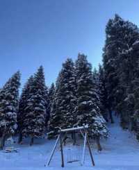 天山深處的綠寶石:烏魯木齊南山牧場一日漫記