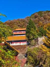 唐山禪林寺，千年銀杏樹下邂逅金色佛國