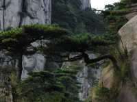 三清山林日落賞景攻略🌄