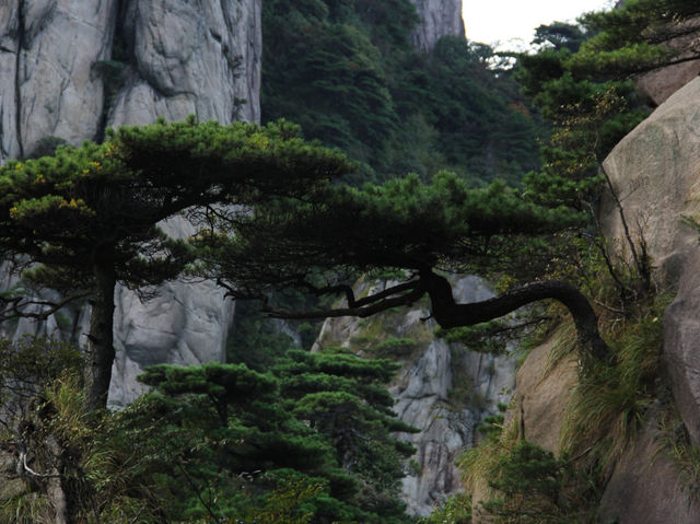 三清山林日落賞景攻略🌄