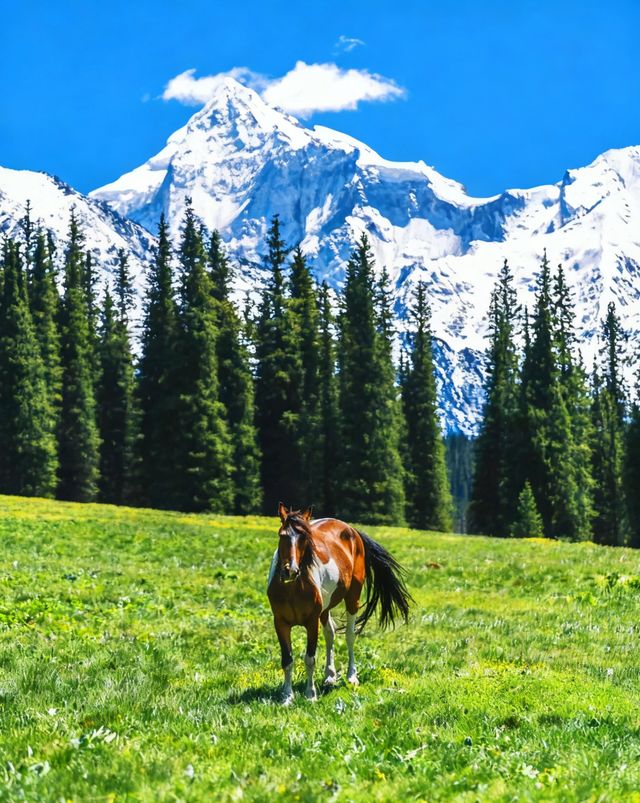 新疆夏塔:一日看盡冰川星空草原的絕美秘境 新疆夏塔:一日看盡冰川星空草原的絕美秘境