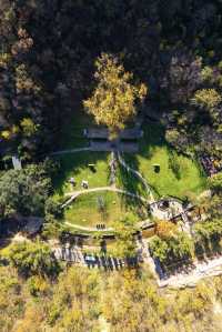 王屋山銀杏攻略|邂逅千年樹冠下的金色秋天