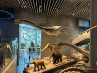 【上海自然博物館·萬物皆可見】超萌攻略來啦！