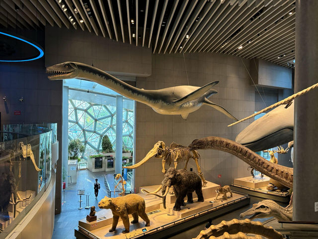 【上海自然博物館·萬物皆可見】超萌攻略來啦！