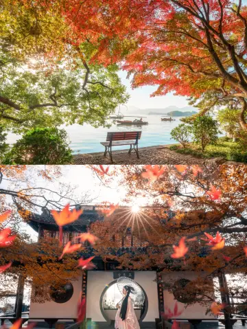 杭州11-12月賞秋指南｜14個寶藏機位附避坑攻略