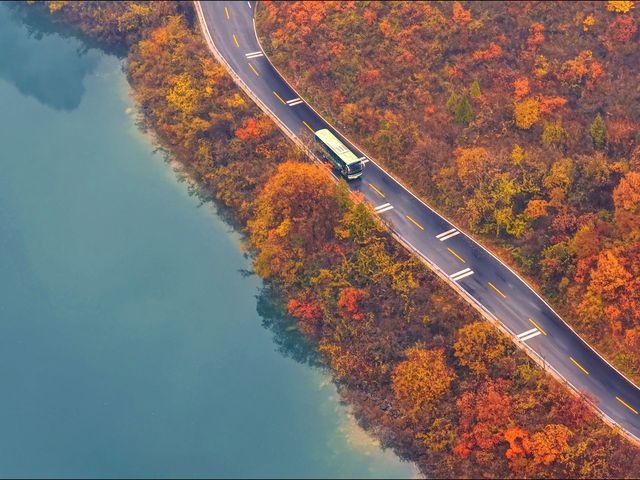 【秋染子房湖｜墜入山水畫裡的治癒時光】