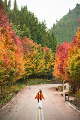 No need to squeeze with crowds, I’ve got the hidden Maple Avenue all to myself