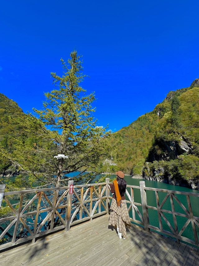 掉進川西紅葉童話成都周邊撿秋攻略！