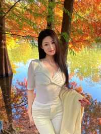 南京11月賞秋攻略：10個寶藏地直接衝，超出片！